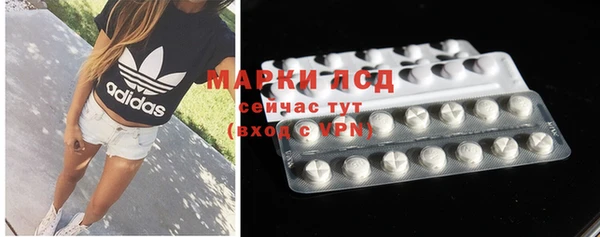 эйфоретик Алзамай