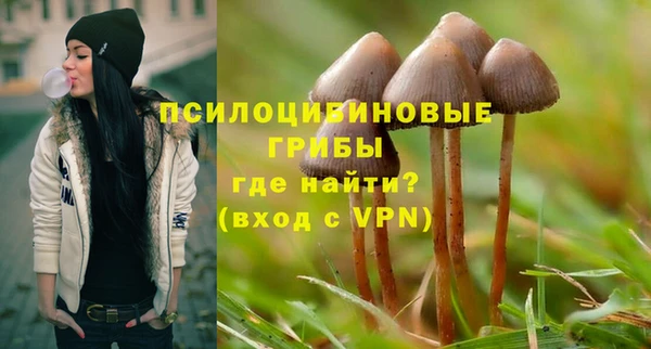 эйфоретик Алзамай