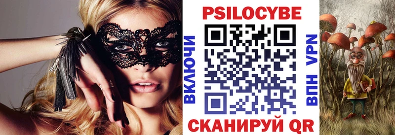 Псилоцибиновые грибы Psilocybe  Бабушкин 